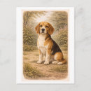 Recherche de de beagle cartes postales Dessin