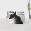 Suche nach gerade karten Hallo