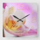 Recherche de orchids horloges Tropical