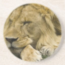 Recherche de mcdonald dessous de verres Faune