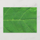 Recherche de macro photo cartes postales Jardin