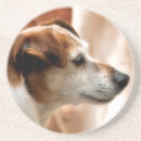 Recherche de jack russel dessous de verres Mignon