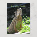 Recherche de key west cartes postales Florida