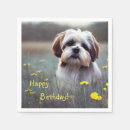 Recherche de shih tzu serviettes Chiot