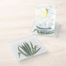 Suche nach agave untersetzer Botanisch