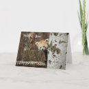 Recherche de red panda cartes postales Sauvage