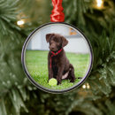 Suche nach labrador ornamente Niedlich