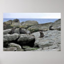 Suche nach im gang poster Natur