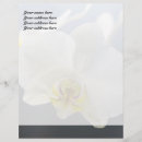Recherche de orchidée papier à lettre Blanc