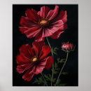 Recherche de fleur de cosmos posters Imprimé d'art floral
