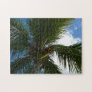 Recherche de coco puzzles Île