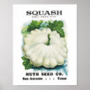 Suche nach squash poster Vintage