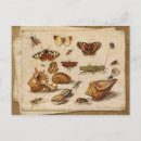 Suche nach vintage muscheln poster Verzieren
