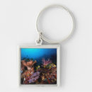 Recherche de plongée sous marine porteclés Voyage