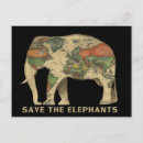 Suche nach tierpostkarte Elefant