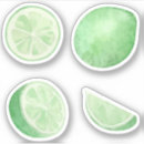 Suche nach lemonade aufkleber Zitrusfrucht