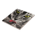 Suche nach hauskatze fliesen Haustiere