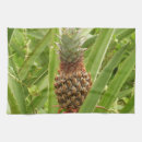 Suche nach früchte geschirr tücher Foto