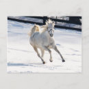 Recherche de chevaux neige cartes postales Rural