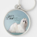 Recherche de chiot maltais porteclés Animaux