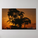 Suche nach afrikanische sonne poster Savanne