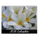 Suche nach pflanzen kalender Blume