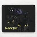 Suche nach scaredy katze Katzen
