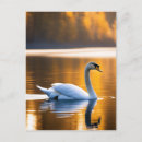 Recherche de gracieux cartes postales Faune