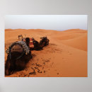 Suche nach sahara wüste poster Düne