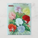 Recherche de graines cartes postales Rétro