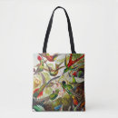 Suche nach haeckel taschen Kunstformen der natur