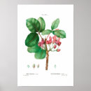 Recherche de pistache posters Vintage