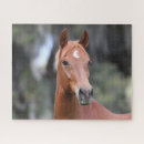 Suche nach kastanie puzzle Oldenburg