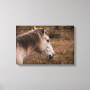 Recherche de équin impressions sur toile Équestre