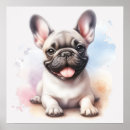 Suche nach bunte hunde poster Tiere