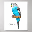 Suche nach budgerigar poster Vogelvogel