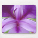 Suche nach iris mousepads Natur
