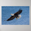 Suche nach ausgedehnt poster 2006
