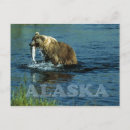 Recherche de kodiak Nature