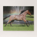 Recherche de fontaine puzzles Arc en ciel