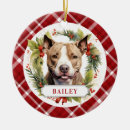 Recherche de chiot de pitbull ornements Noël