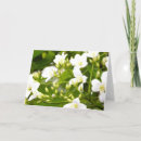 Recherche de flore vœux cartes Fleurs