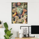 Suche nach seeanemonen poster Ernst haeckel