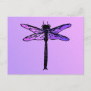 Suche nach drachenfliegen postkarten Libelle