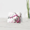 Suche nach redbud baum Cercis