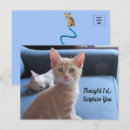 Recherche de une surprise cartes postales Chat