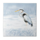 Suche nach großer vogel fliesen Vogelbeobachter