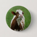 Recherche de vache laitière badges Laitier