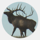 Suche nach elche geschenkverpackung Wapiti