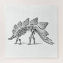 Recherche de fossiles puzzles Dinosaure